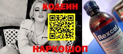 стафф Камышлов