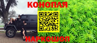 стафф Камышлов