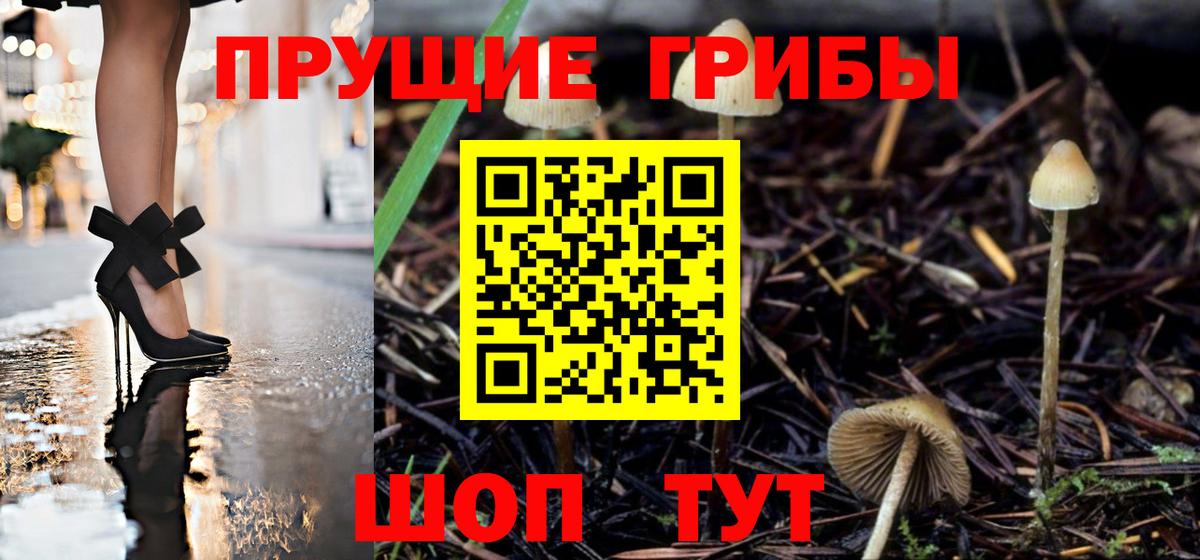 Галлюциногенные грибы прущие грибы  Галлюциногенные грибы ЛСД  Тара  Вход с VPN 