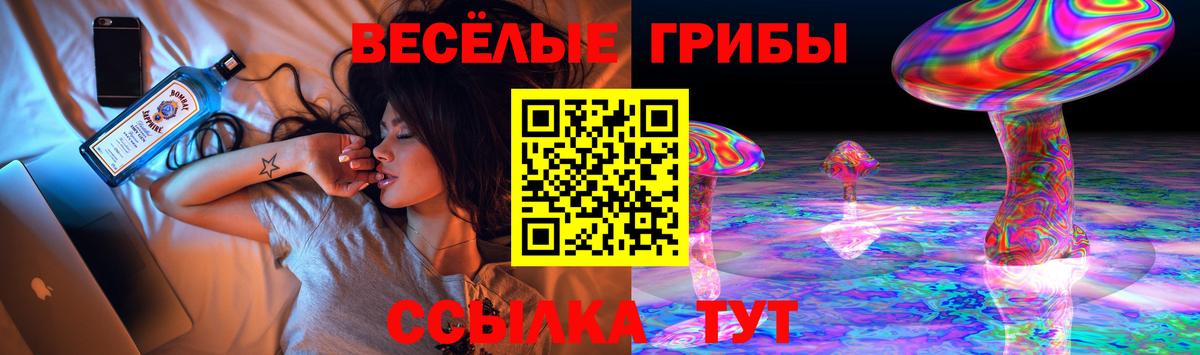 Псилоцибиновые грибы Psilocybine cubensis Тара